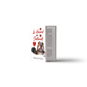 Le hasard des sentiments (broché/relié)