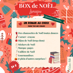 Box de Noël