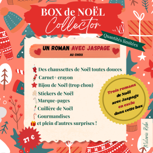 Box de Noël Collector